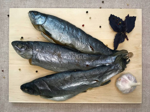 Шашлычок из сома холодного копчения: Форель радужная вяленая